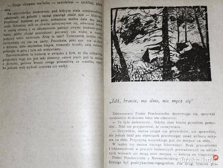 Spotkanie z pumą Jurij Parmuzin Chełm