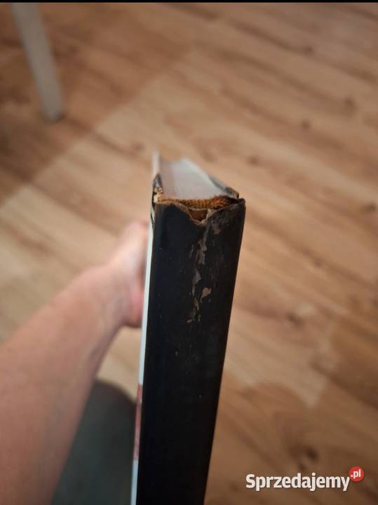 Książka Sztuka dekorowania wnętrz twarda Konin