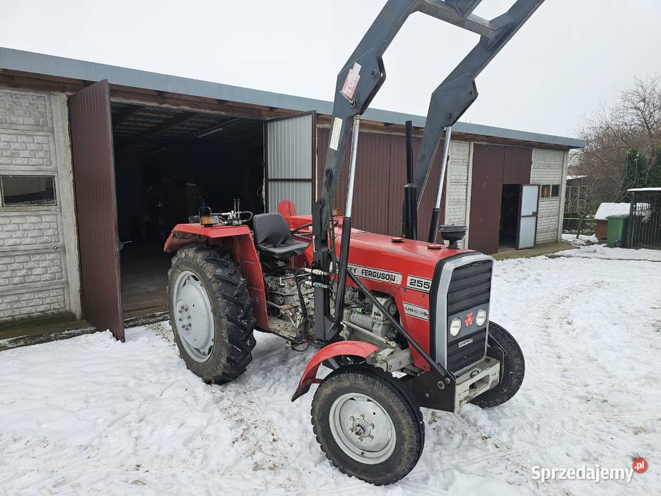 Massey ferguson mf 255 Sieradz sprzedam