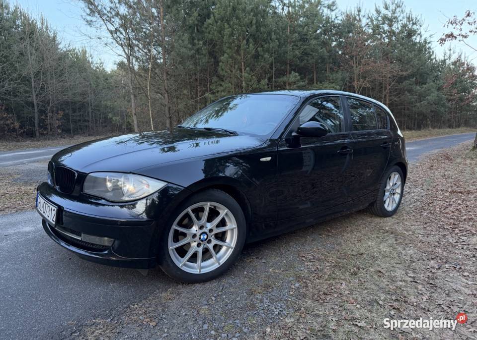 BMW X 1 dolnośląskie Parowa