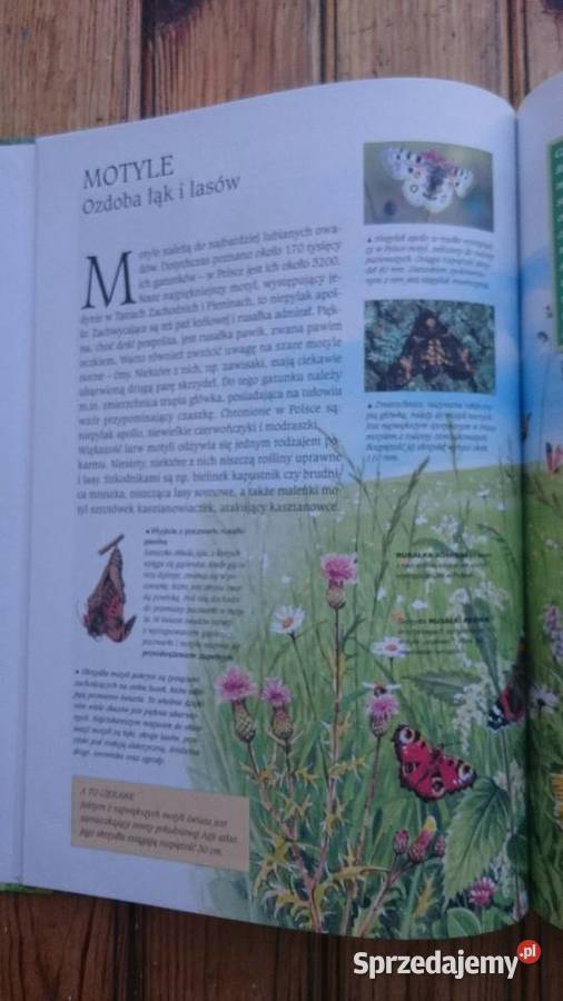 Książka Cuda przyrody polskiejrośliny zwierzęta przyroda, krajobrazy Wrocław