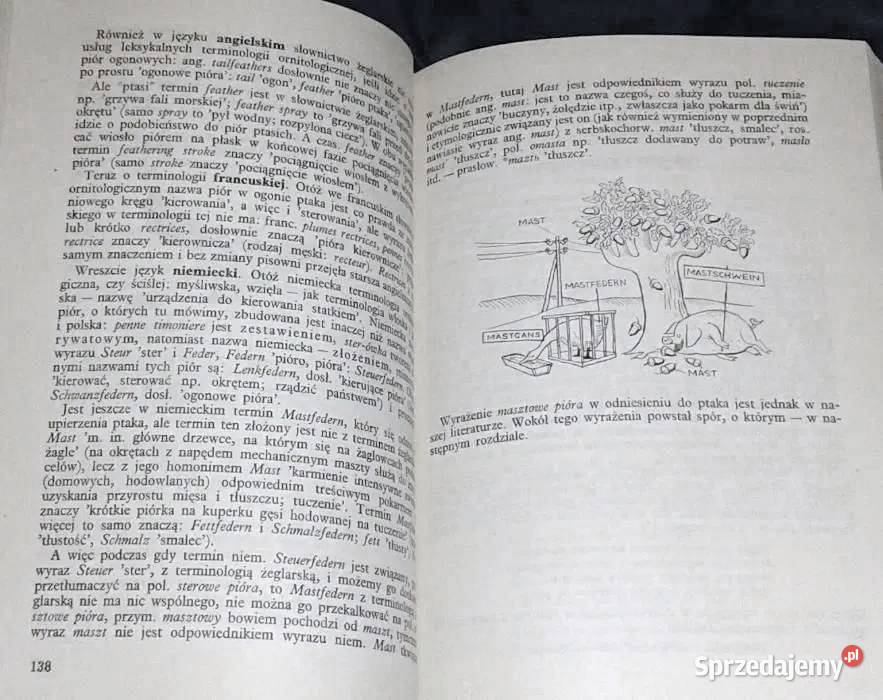 Pontoniakiem morze Zygmunt Brocki Rok wydania 1973 Chełm