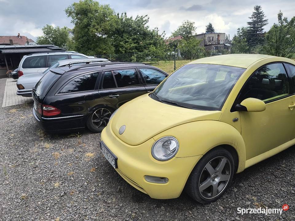 beetle Jelcz-Laskowice