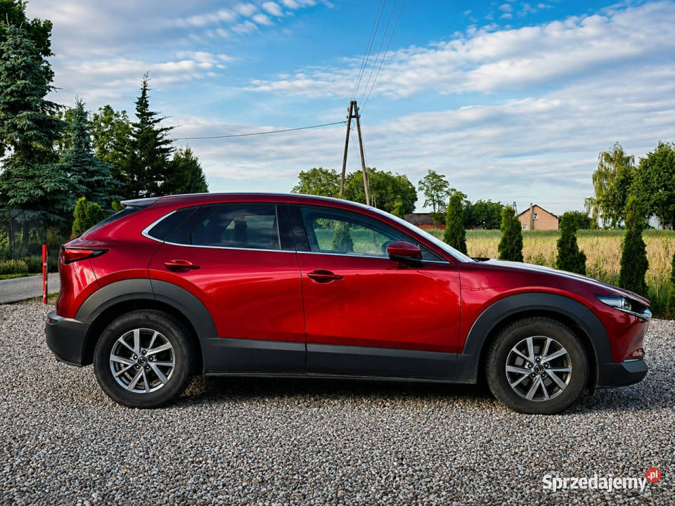 Mazda CX30 Rok produkcji 2019 Sadlno