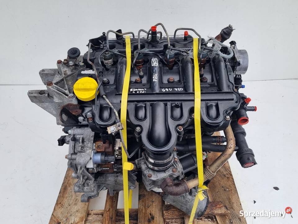 SILNIK BEZ OSPRZĘTU Nissan Interstar II 25 DCI Rudka