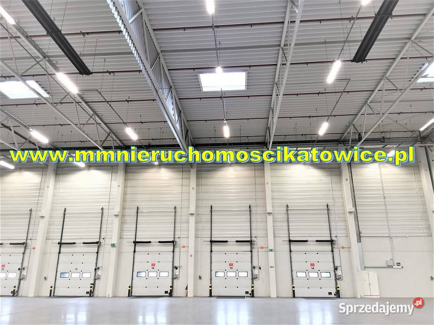 Powierzchnie magazynowe do wynajęcia do 10000 m2 winda śląskie Sosnowiec