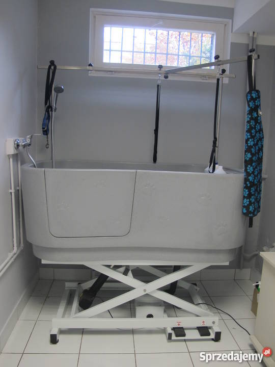 PSI FRYZJER ŁAPKA STRZYŻENIE PSÓW GROOMER NOWO Poznań