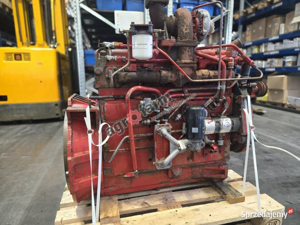 Silnik Case Internacional 1255XL DT358 sprzedam