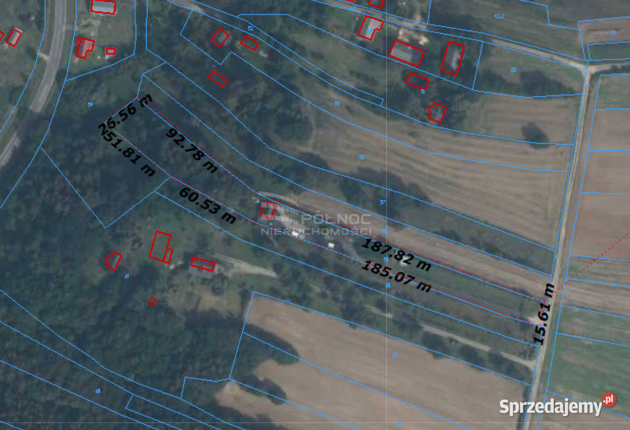 Przytulny dom z potencjałem i ogromną działką siatka