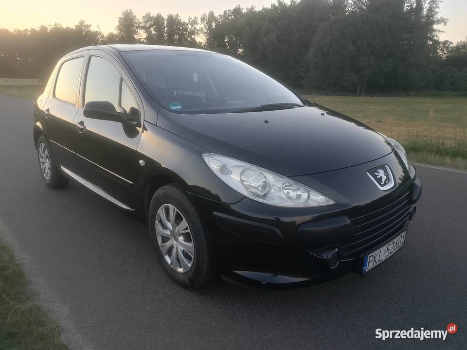 Peugeot 307 16 HDi 290600km wielkopolskie
