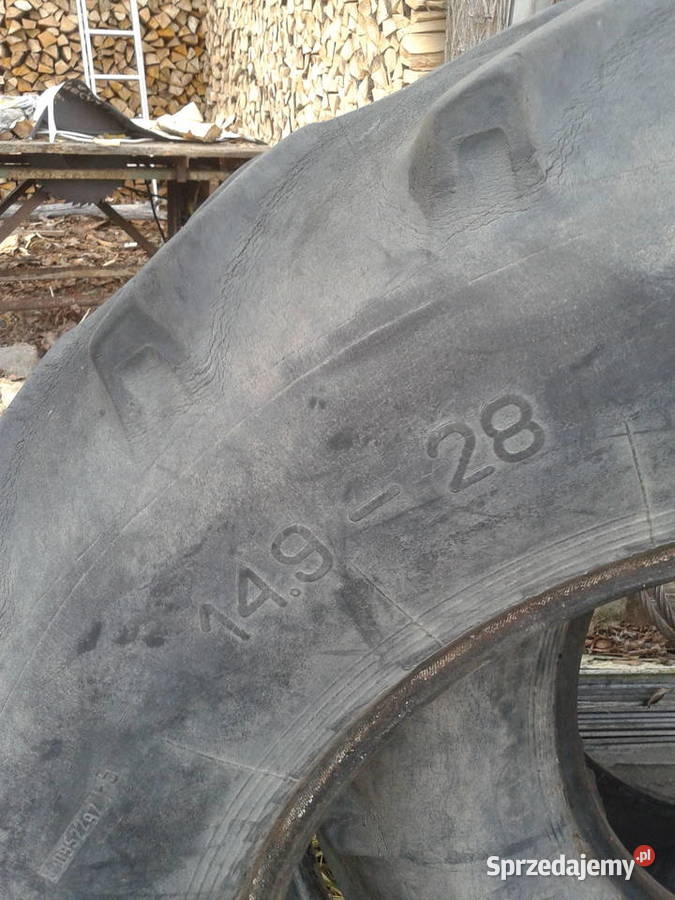 oponydetki Sosnowica