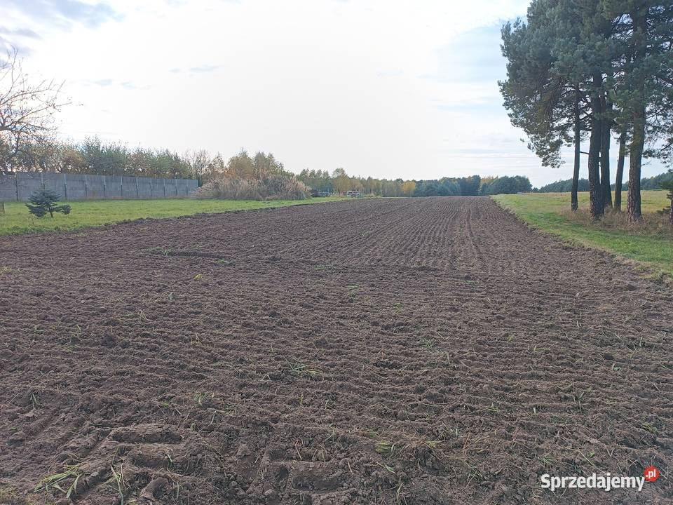 Mulczowanie terenu Mulczer POWIERZCHNIOWY śląskie Zawiercie