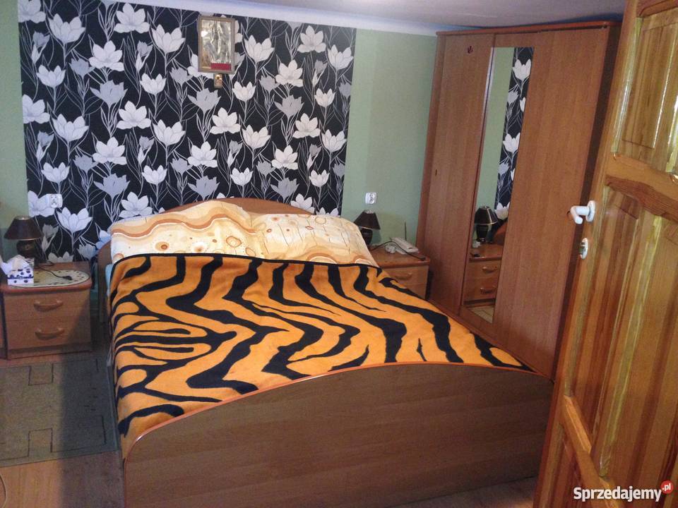 Krzemienna dom 60m2 z działką i budynkami Krzemienna