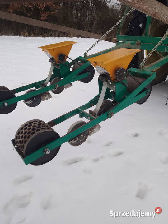 Siewnik siewniki do warzyw pietruszki marchwi Jędrzejów