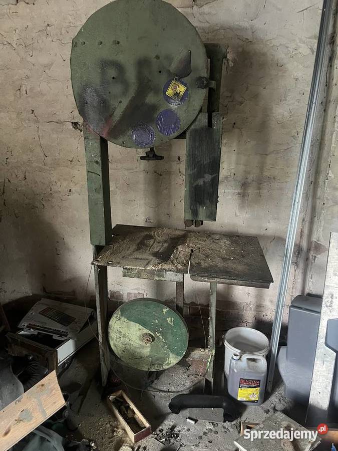 Pila tasmowa Mnichus