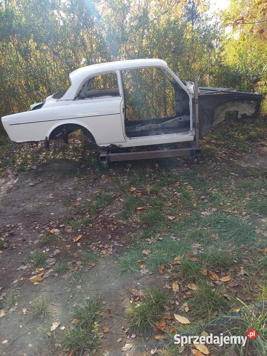 Volvo Amazon