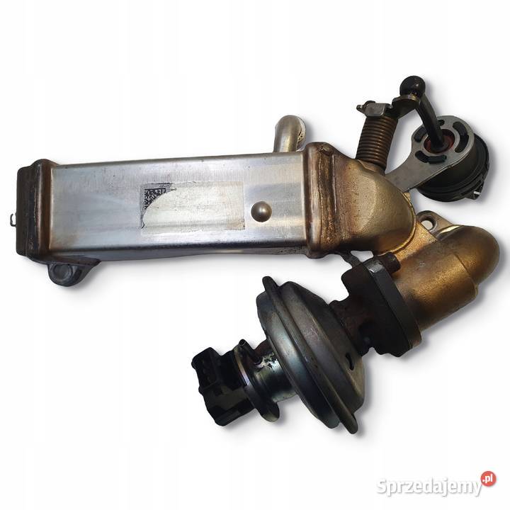 CHŁODNICA SPALIN BMW E60 20 D chłodniczka Chełm