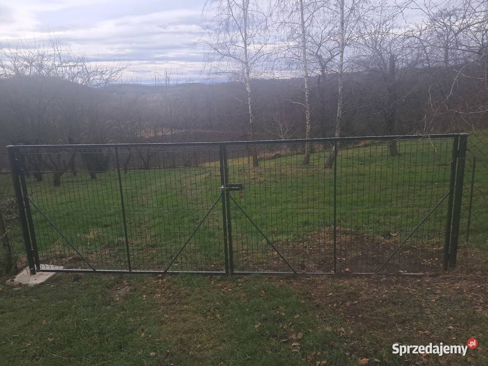 Brama dwuskrzydłowa panelowa Kierlikówka