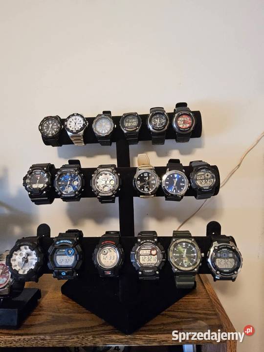 Zegarki CASIO kolekcja 100 Kolonowskie