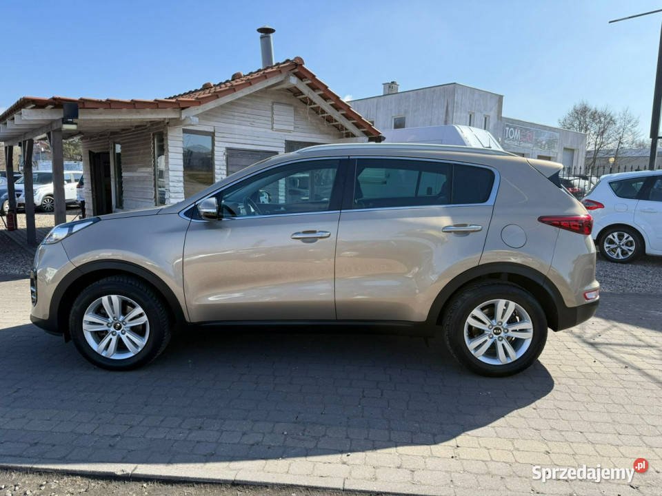Kia Sportage IV 20162021 SUV Sportage Sportage Słupsk