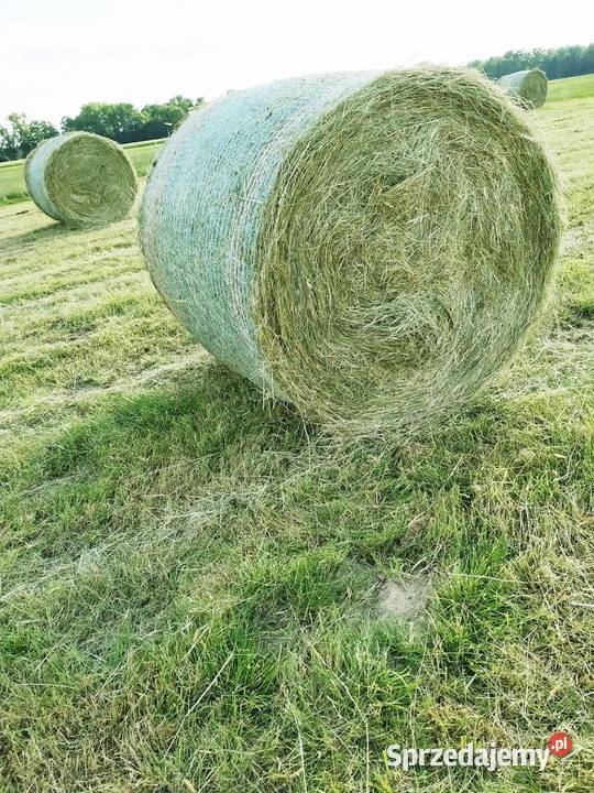 OKAZJA Ostatnie Bele Siana w Promocyjnej Balot Ruszków Pierwszy