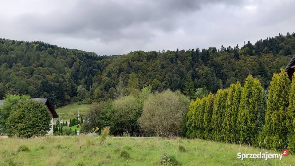 Działka pod zabudowę Muszyna 243zł/m2