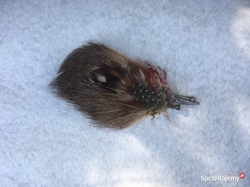 Broszka ptasie oczko vintage Anglia małopolskie Kraków