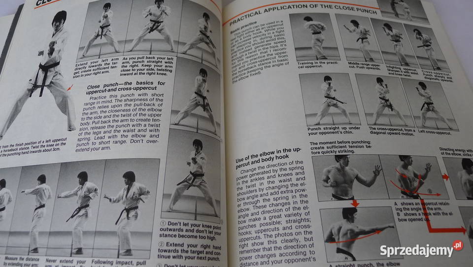 ASHIHARA Fighting Karate 2ks Kyokushin Oyama Walki Wschodu