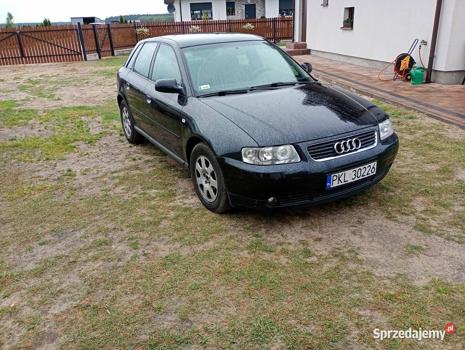 Audi A3 wielkopolskie Koło sprzedam