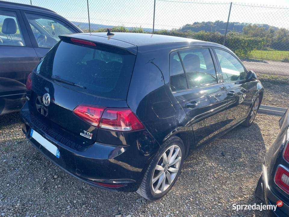 VOLKSWAGEN Golf VII 16 TDi CR BlueMotion 110 dolnośląskie Wrocław