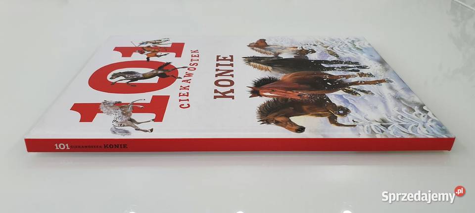101 ciekawostek Konie Kędzierzyn-Koźle sprzedam