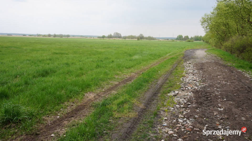 Nieruchomość w Całowaniu