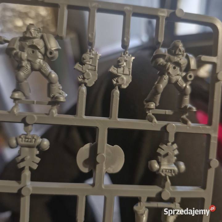 5x WH40K Space Marine Firstborn Ramka 2005 NOS