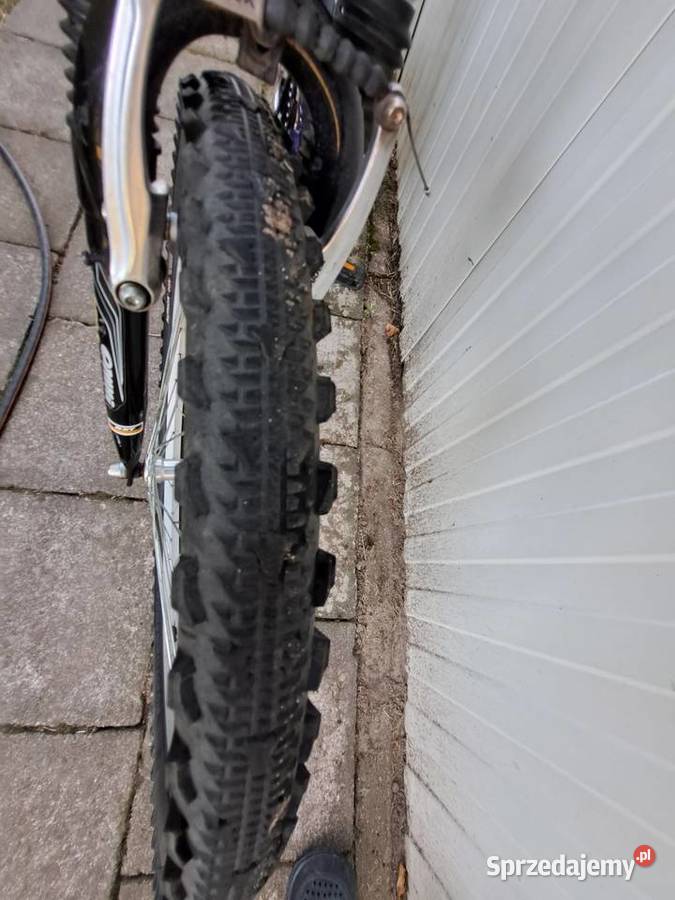 rower MTB Author Profile SX