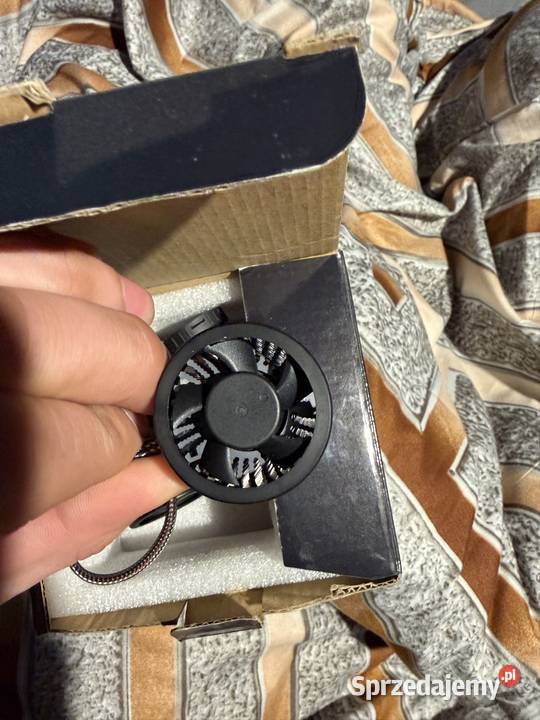 Żarówki d2s led Wieruszów