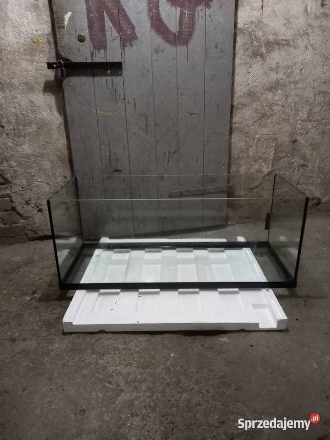 Akwarium Akwarystyka Gorzów Wielkopolski