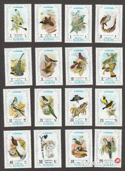 AJMAN PTAKI CZYSTE łódzkie Łódź