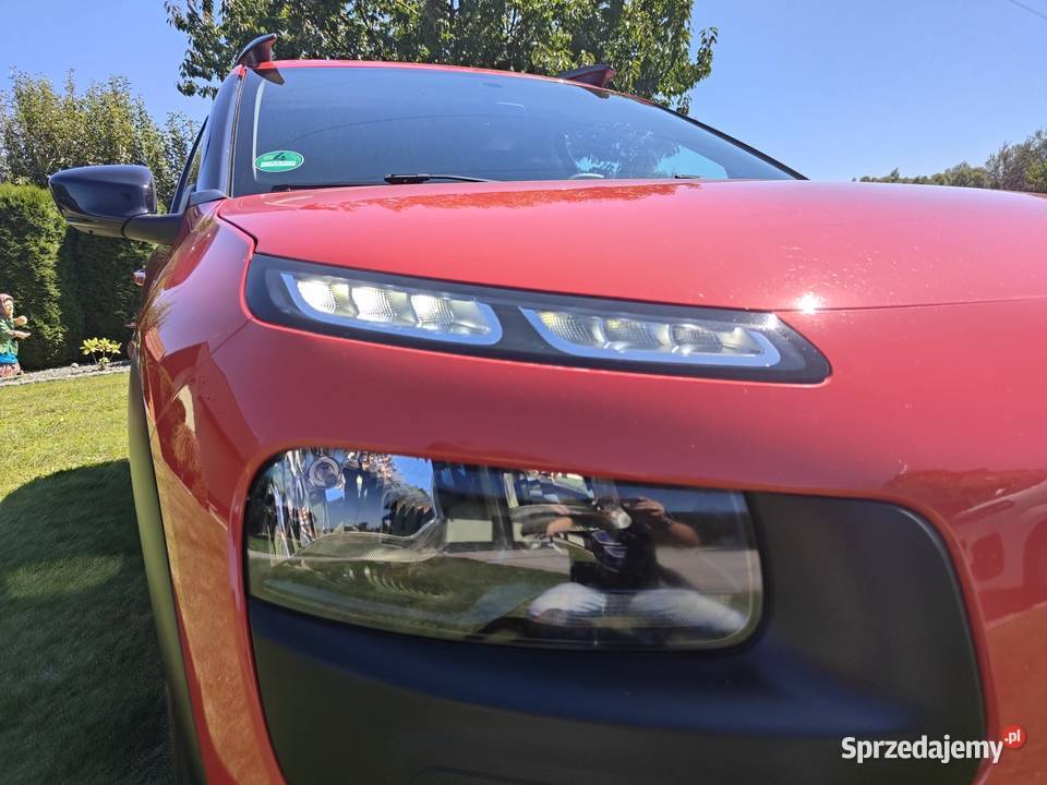Citron C4 Cactus 12 PureTech benzyna C4 Cactus małopolskie Janowice