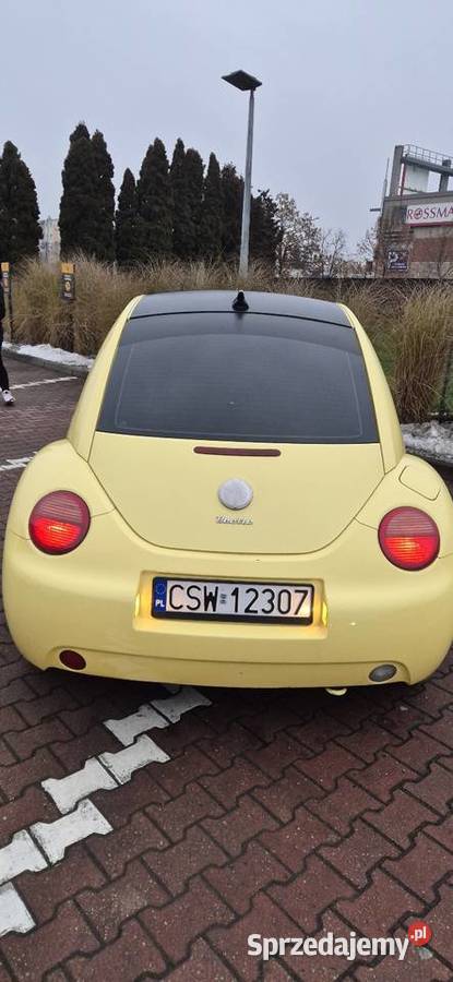 VW Beetle Bydgoszcz