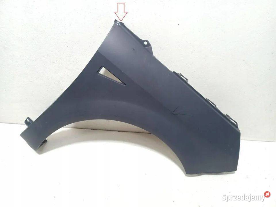 RENAULT SCENIC II 20032009 BŁOTNIK PRAWY PRZÓD osobowe Skarżysko-Kamienna sprzedam
