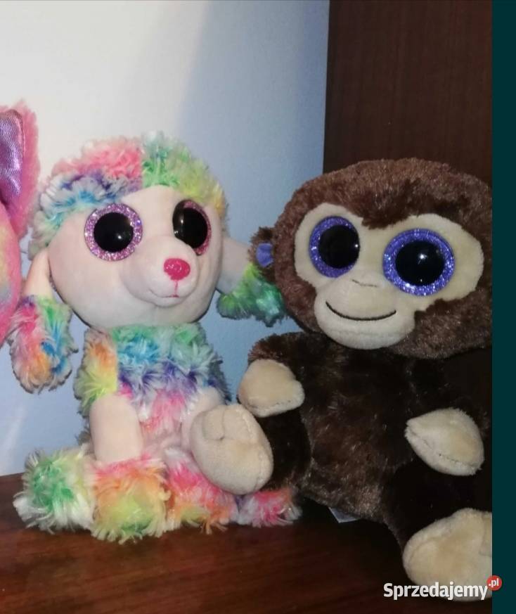Ty Beanie Booszestaw 5 sztuk Stan idealny Warszawa