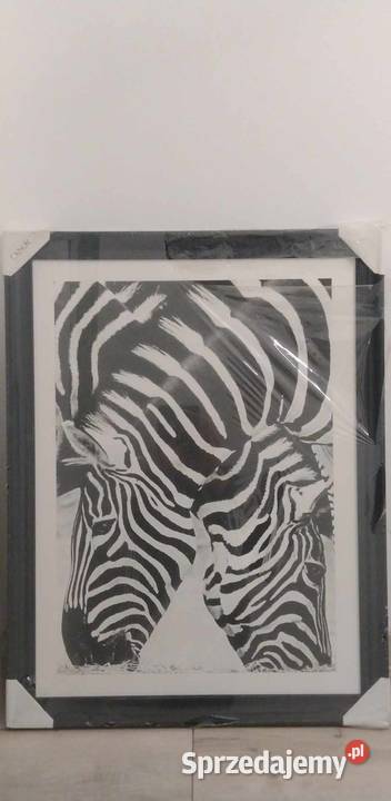 OBRAZ ZEBRY 60X80 NOWY