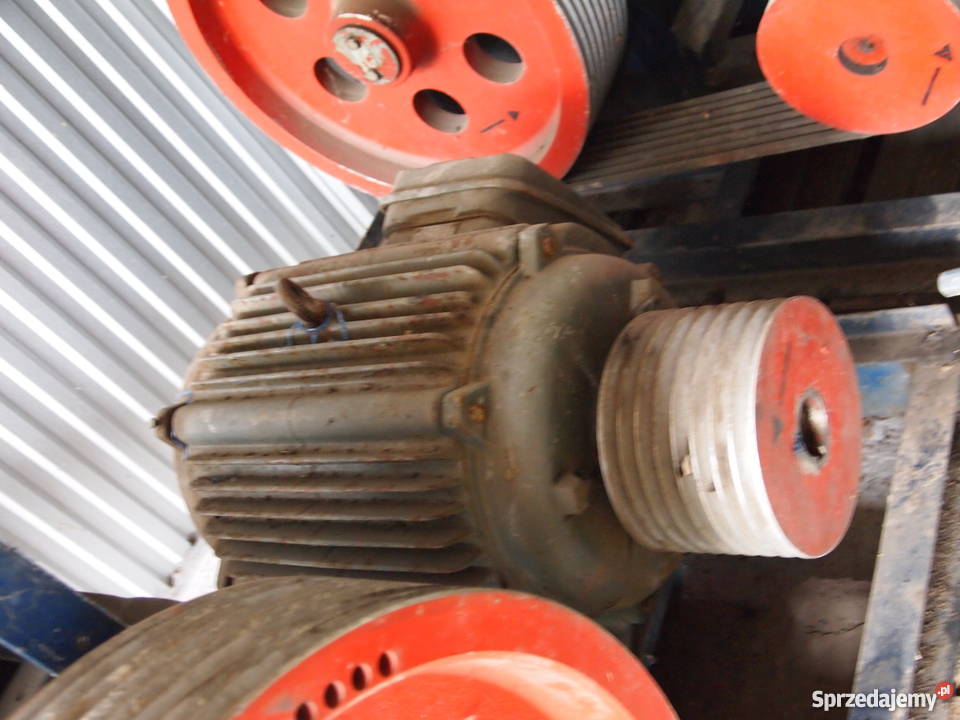 Ekstruder maszyna do produkcji pasz