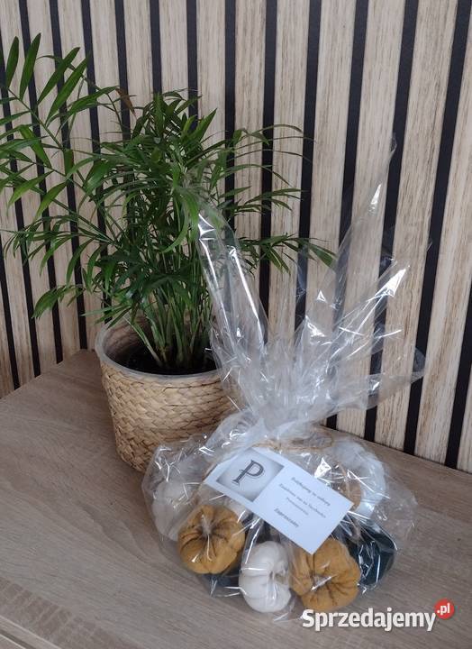 Dynie dekoracyjne małe Skoki sprzedam