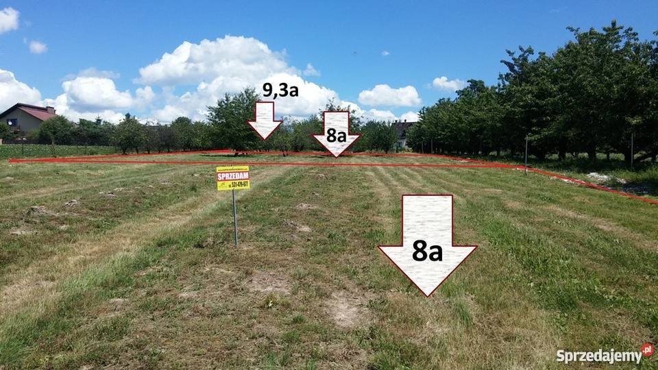 Grunt 800m2 Wola Zachariaszowska Wola Zachariaszowska