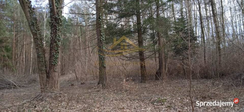 sprzedaży gruntu Ojrzanów 1500m2