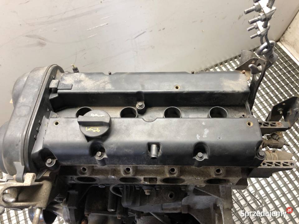 SILNIK FORD 14 97 SPJA FIESTA MK7 podkarpackie