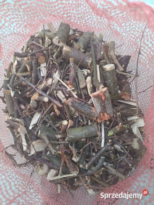 Zrębki z drzew liściastych Biecz sprzedam