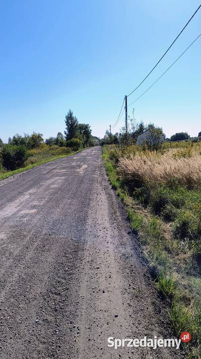 Niegowoniczki działka budowlanozielona 3 924 m 3924m2