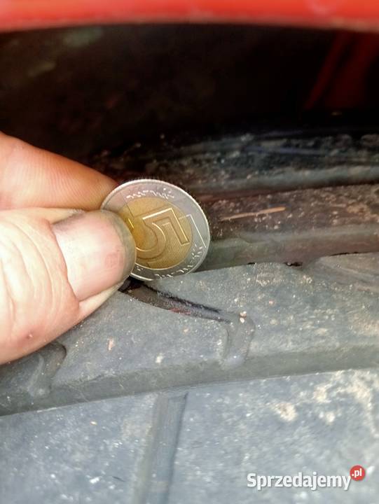 Sprzedam wielkopolskie Grabonóg